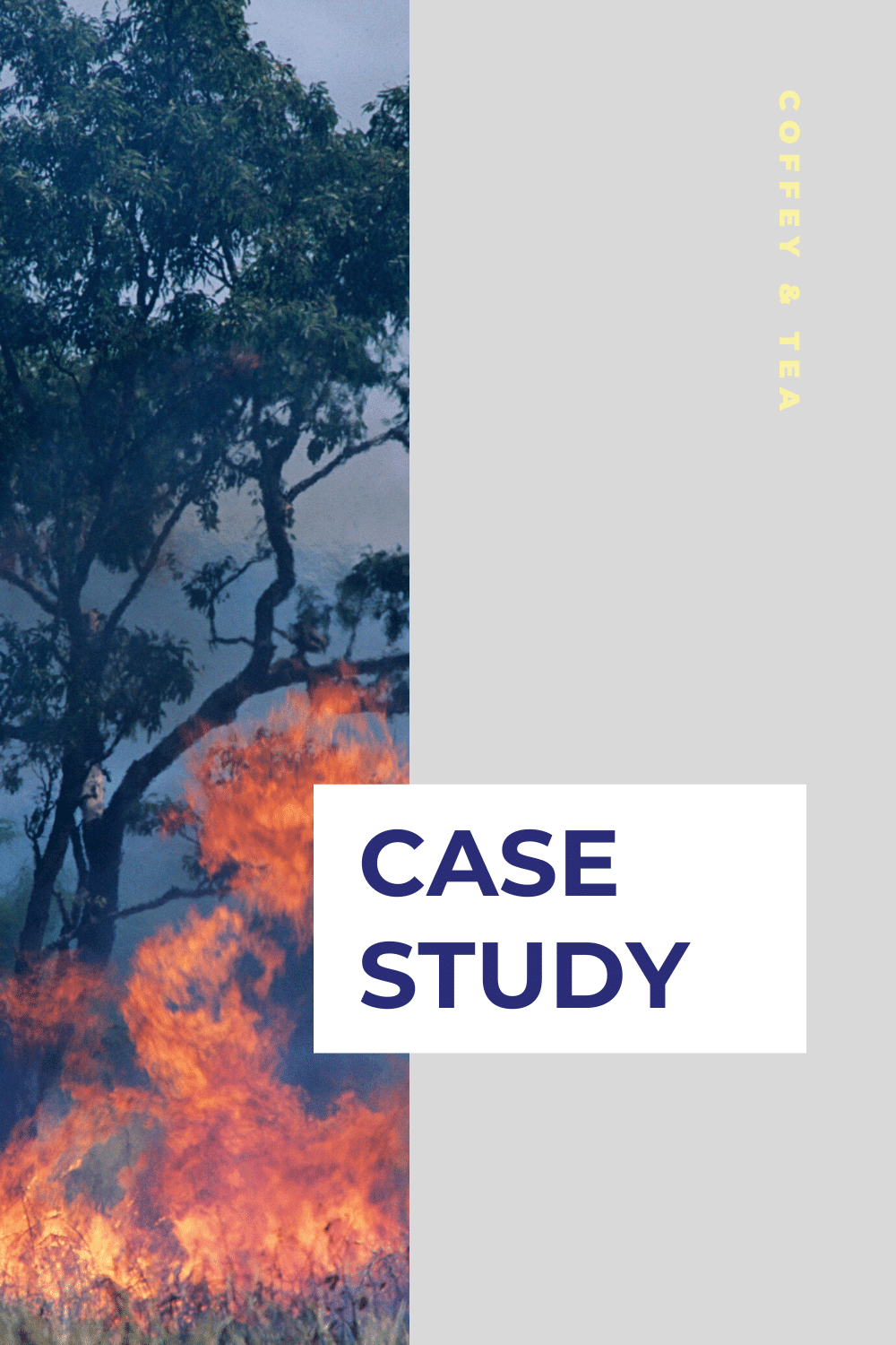 Case Study: Department of Fire & Emergency Services