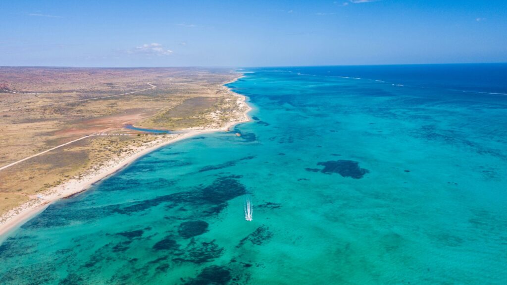 Our Work: Live Ningaloo 2 exmouth is home to live ningaloo
