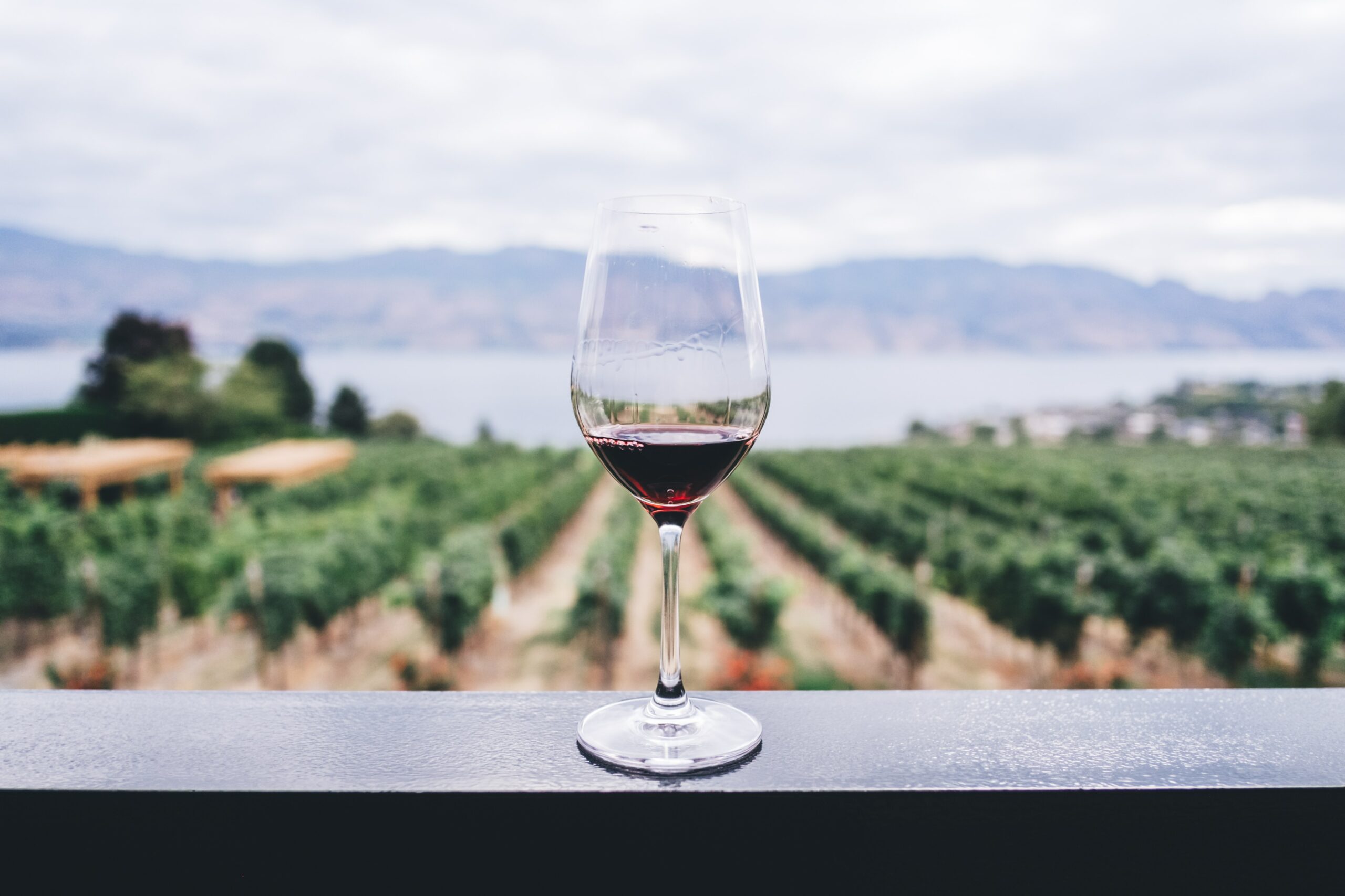 Social Media for Wineries: Why It’s Important