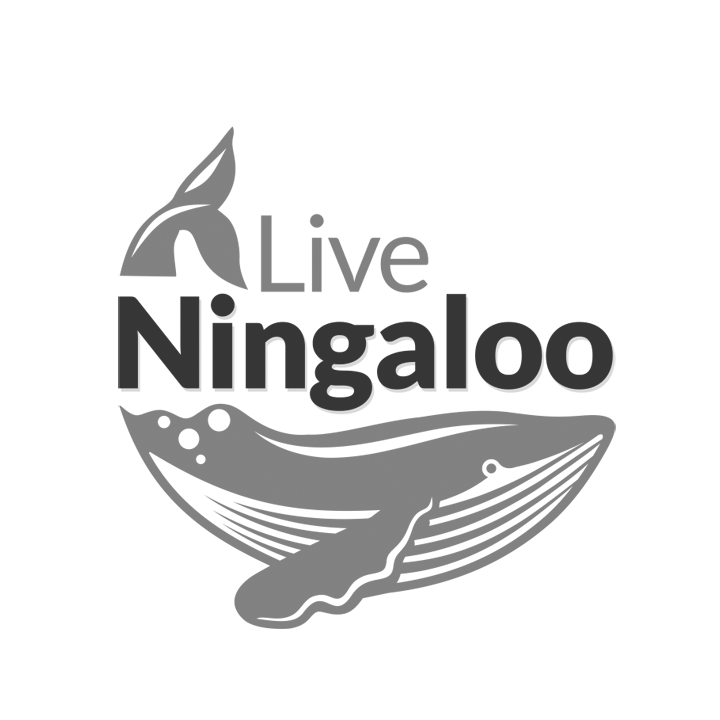 Our Work: Live Ningaloo 1 Live Ningaloo Greyscale